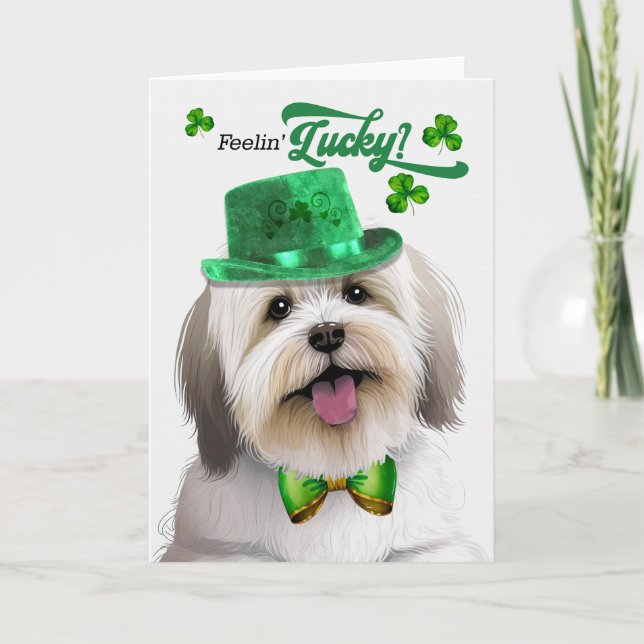 Coton de Tulear Dog Lucky St Patrick's Day Holiday Card (Front)