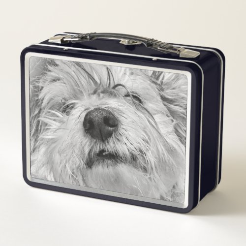 Coton de Tulear dog Metal Lunch Box