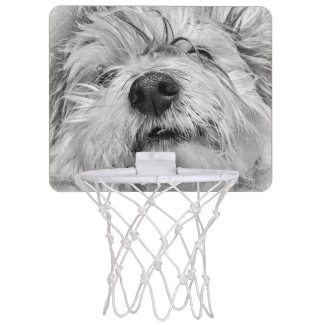 Coton de Tulear dog Mini Basketball Hoop (Front)
