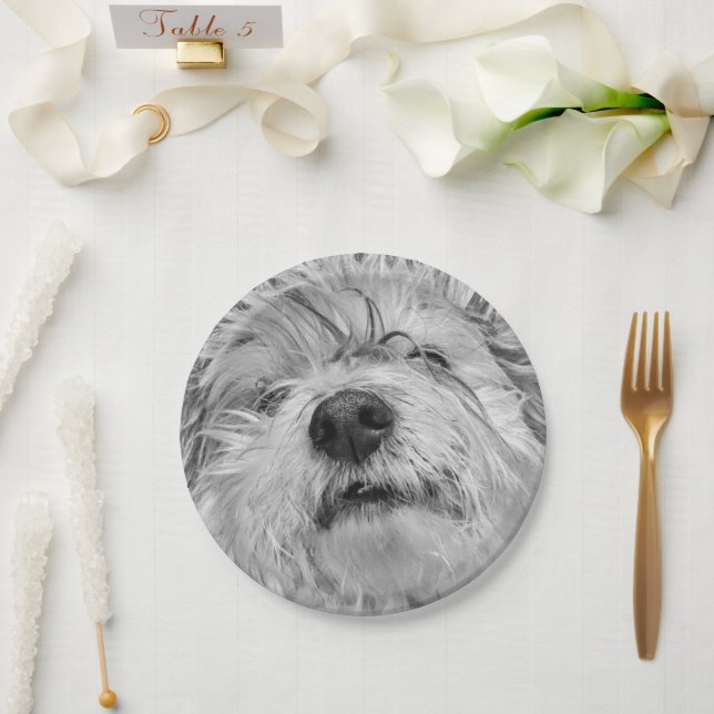 Coton de Tulear dog Paper Plates (Wedding)