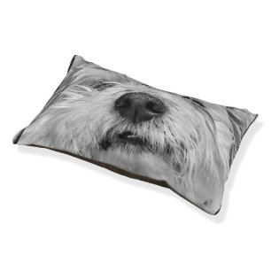 Coton de Tulear dog Pet Bed