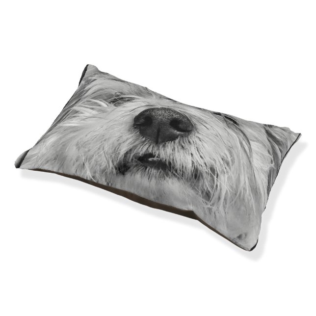 Coton de Tulear dog Pet Bed (Angled)
