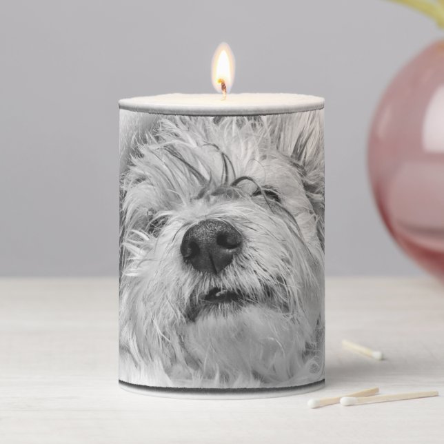 Coton de Tulear dog Pillar Candle (In Situ)