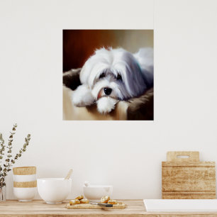 Coton de Tulear Dog Poster