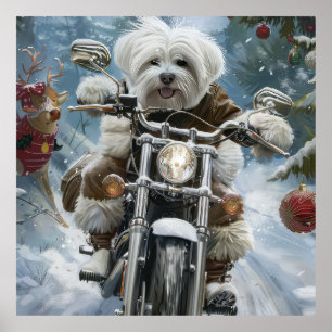Coton De Tulear Dog Riding Motorcycle Christmas Poster