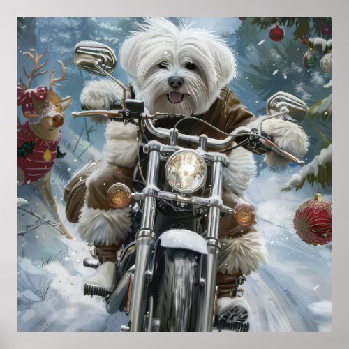 Coton De Tulear Dog Riding Motorcycle Christmas  Poster