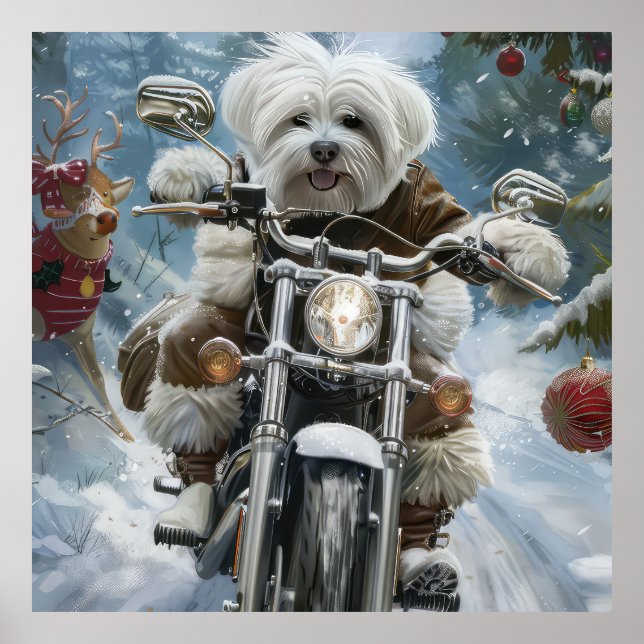 Coton De Tulear Dog Riding Motorcycle Christmas  Poster (Front)
