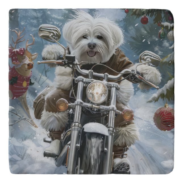 Coton De Tulear Dog Riding Motorcycle Christmas  Trivet (Front)