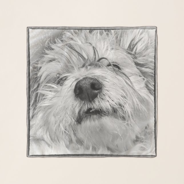 Coton de Tulear dog Scarf (Front)