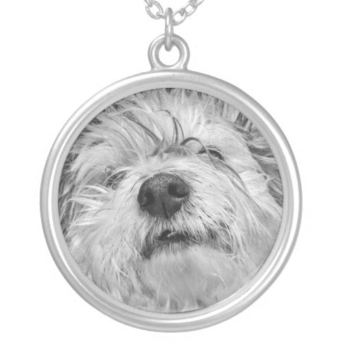 Coton de Tulear dog Silver Plated Necklace