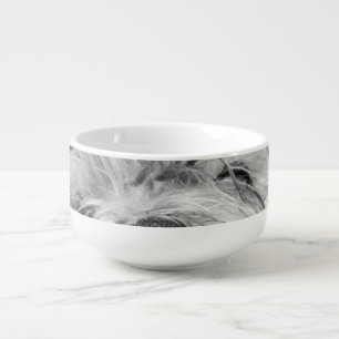Coton de Tulear dog Soup Mug