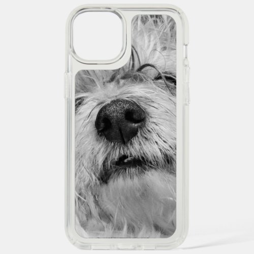 Coton de Tulear dog iPhone 15 Plus Case