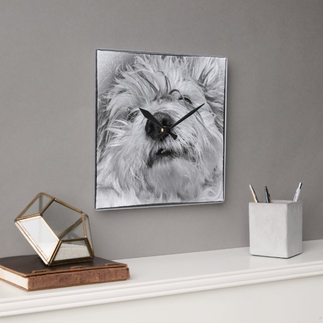 Coton de Tulear dog Square Wall Clock (Office)