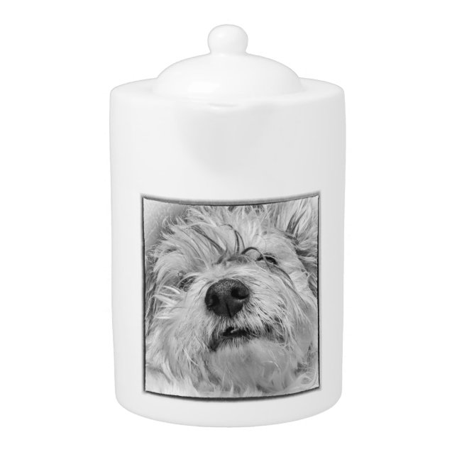 Coton de Tulear dog Teapot (Front)