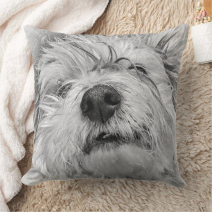 Coton de Tulear dog Throw Pillow