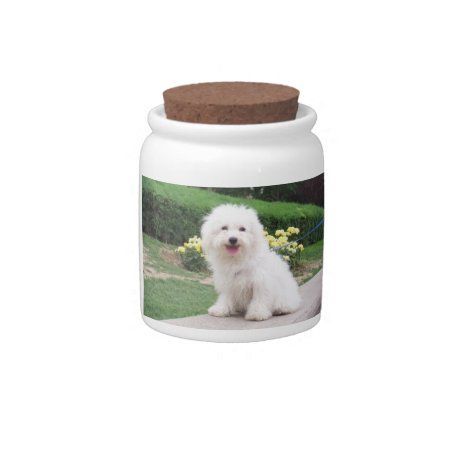 Coton De Tulear Dog Treat Candy Jar