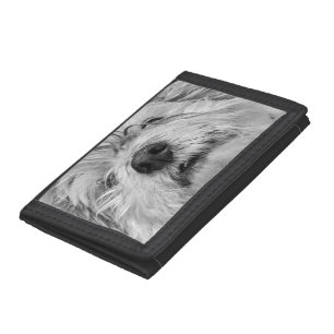 Coton de Tulear dog Tri-fold Wallet