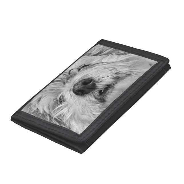 Coton de Tulear dog Trifold Wallet (Bottom)