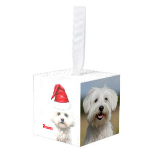 Coton de Tulear Dog Two Photo Christmas Holiday Cube Ornament