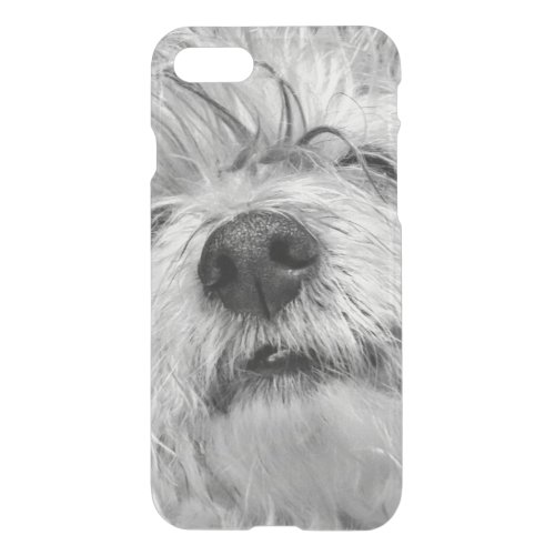 Coton de Tulear dog iPhone SE87 Case