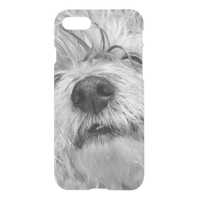 Coton de Tulear dog Uncommon iPhone Case (Back)