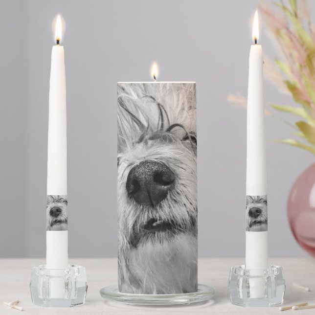 Coton de Tulear dog Unity Candle Set (In Situ)