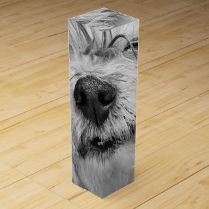 Coton de Tulear dog Wine Box