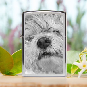 Coton de Tulear dog Zippo Lighter