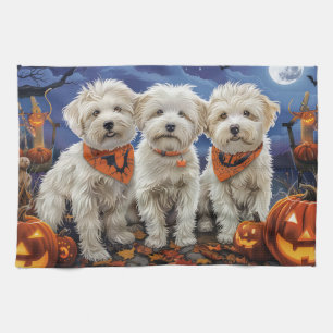 Coton De Tulear Halloween Spooky Kitchen Towel