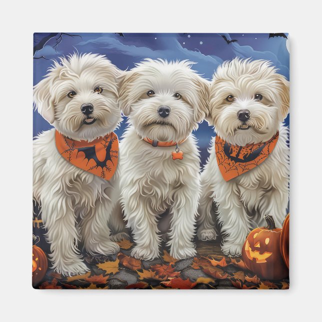 Coton De Tulear Halloween Spooky Magnet (Front)