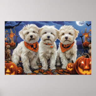 Coton De Tulear Halloween Spooky Poster