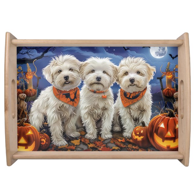 Coton De Tulear Halloween Spooky Serving Tray (Front)