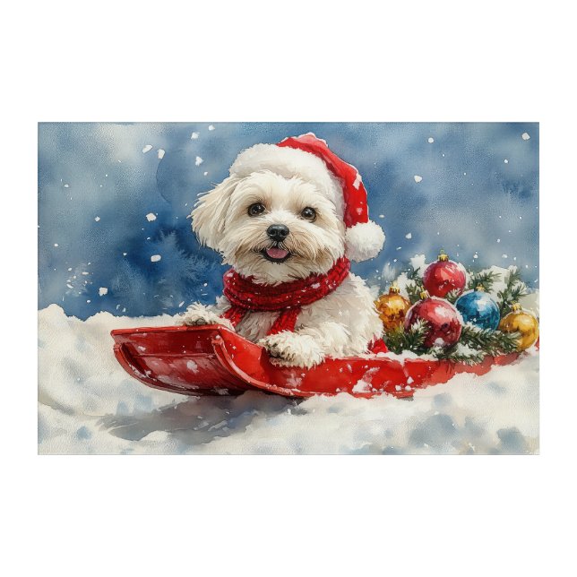 Coton De Tulear in Sledge Let it Snow Christmas Acrylic Print (Front)
