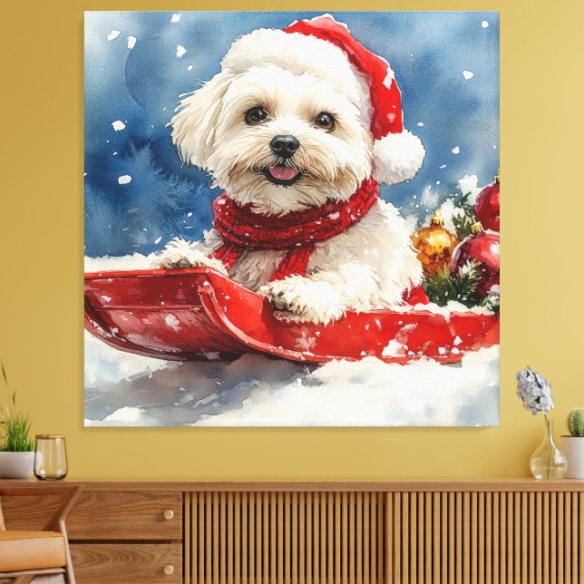 Coton De Tulear in Sledge Let it Snow Christmas Canvas Print (Insitu(LivingRoom))