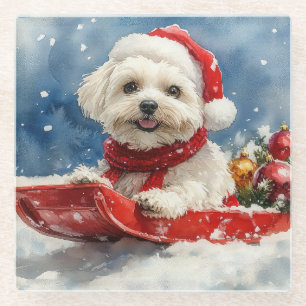 Coton De Tulear in Sledge Let it Snow Christmas Glass Coaster