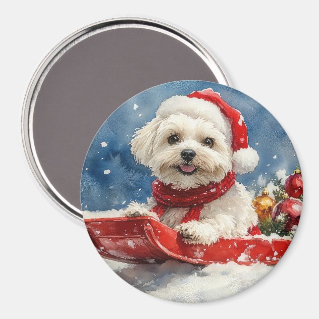 Coton De Tulear in Sledge Let it Snow Christmas Magnet (Front/Back)
