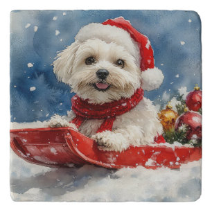 Coton De Tulear in Sledge Let it Snow Christmas Trivet