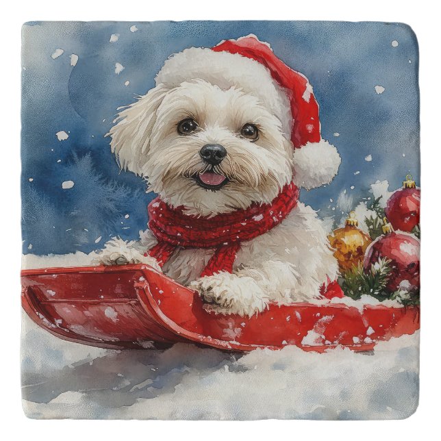 Coton De Tulear in Sledge Let it Snow Christmas Trivet (Front)