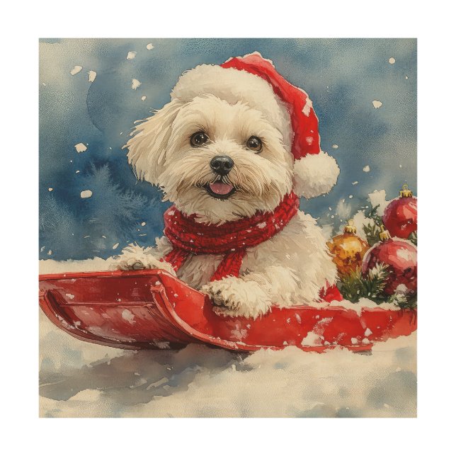 Coton De Tulear in Sledge Let it Snow Christmas Wood Wall Art (Front)