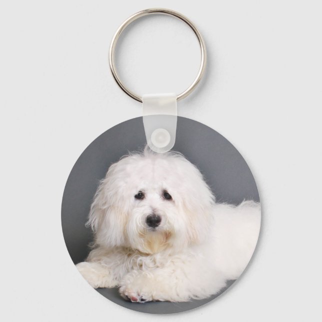 Coton de Tulear - Joci Keychain (Front)