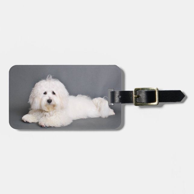 Coton de Tulear - Joci Luggage Tag (Front Horizontal)