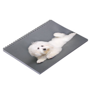 Coton de Tulear - Joci Notebook