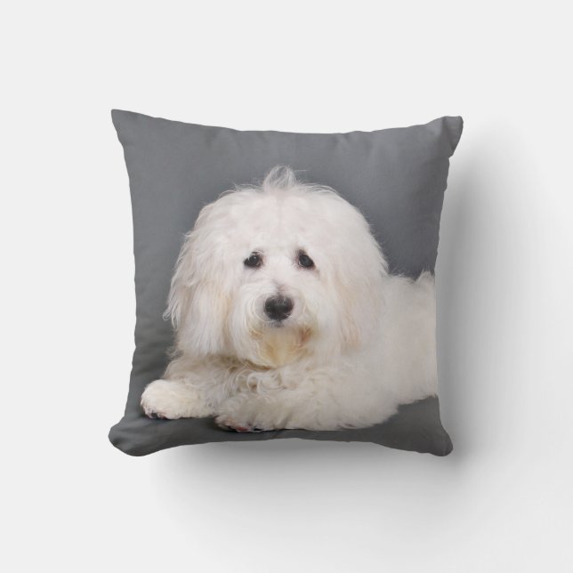 Coton de Tulear - Joci Throw Pillow (Front)