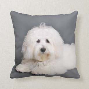 coton de tulear gift items