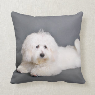 Coton de Tulear - Joci Throw Pillow
