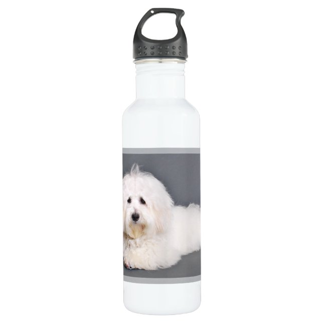 Coton de Tulear - Joci Water Bottle (Front)