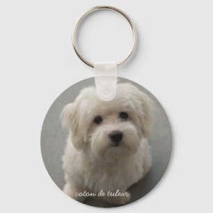Coton de Tulear Keychain