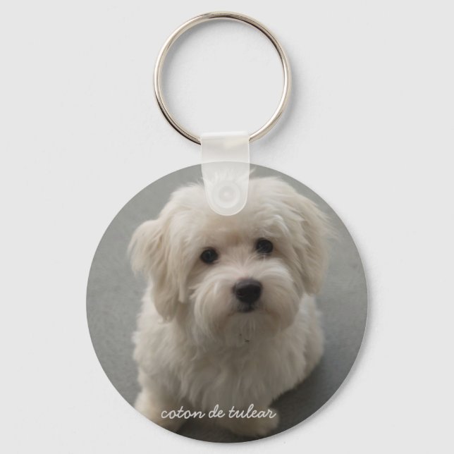 Coton de Tulear Keychain (Front)