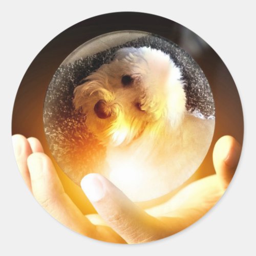 Coton de Tulear Magic Classic Round Sticker