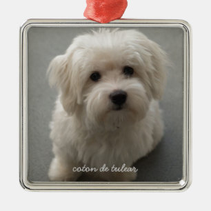 Coton de Tulear Metal Ornament